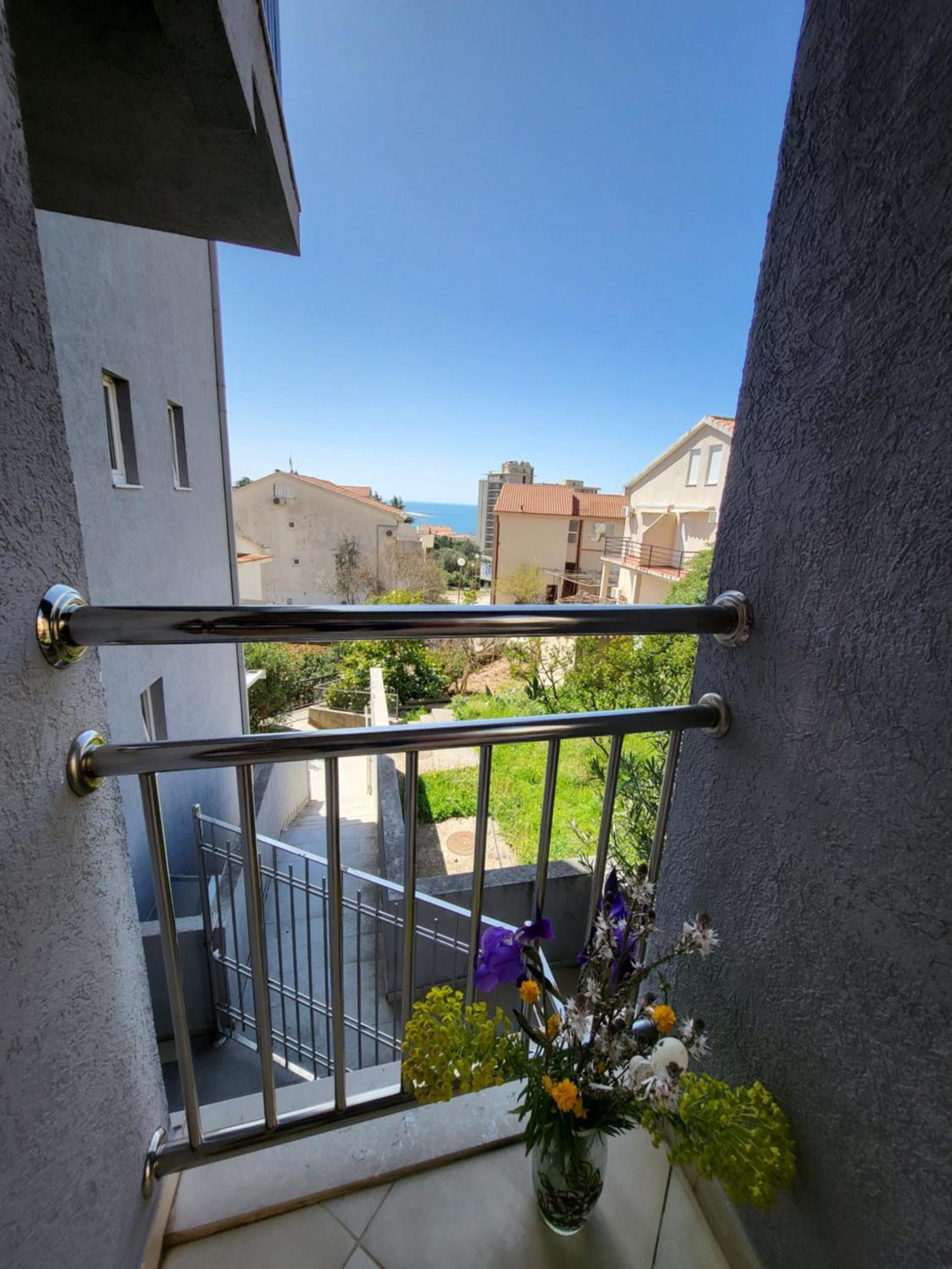 Apartment Rachel Petrovac Værelse billede